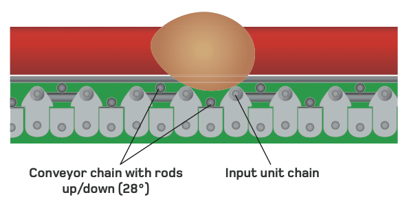 Egg input unit for conveyor chain rods - LUBING