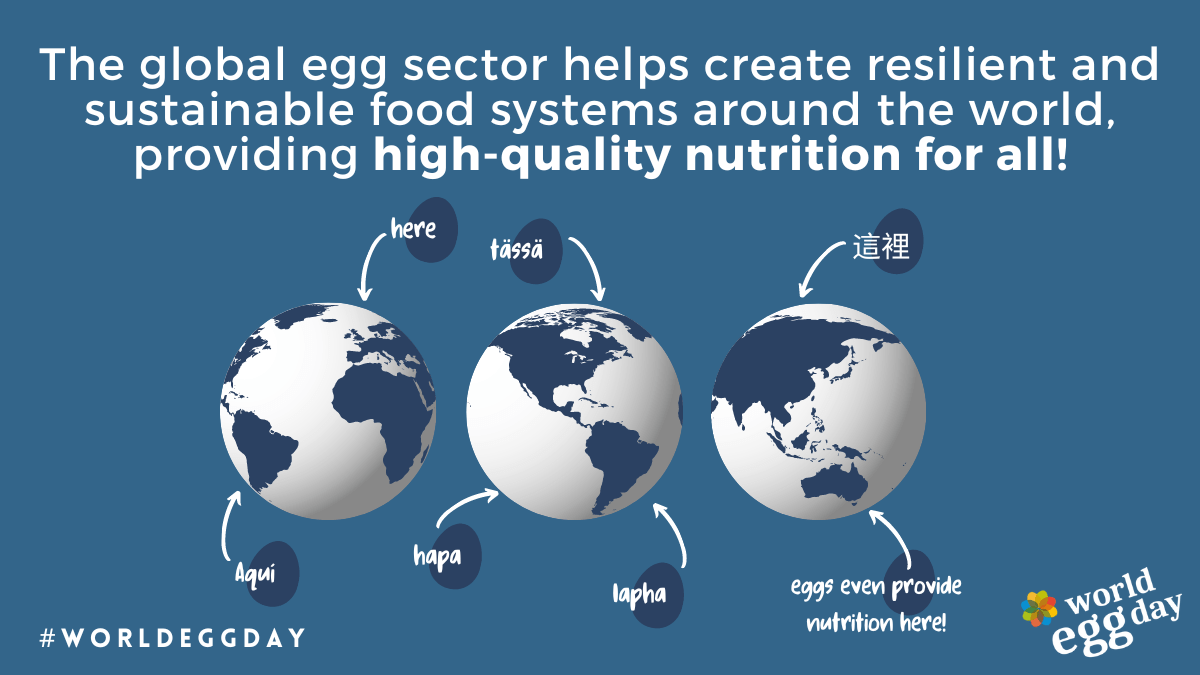 Welt-Ei-Tag 2022
